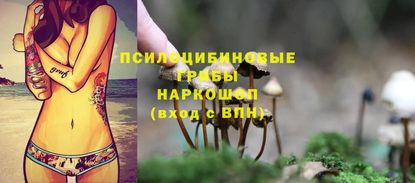 сатива Няндома