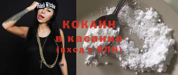 сатива Няндома