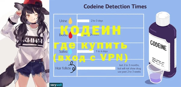 сатива Няндома