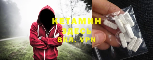 сатива Няндома