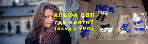 стафф Новодвинск