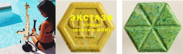 сатива Няндома