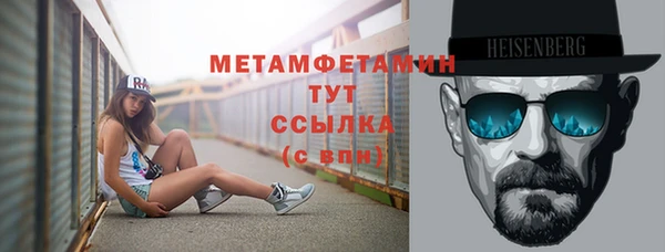 сатива Няндома