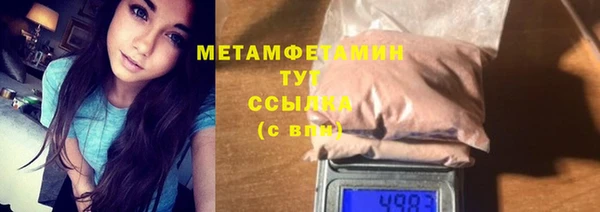 сатива Няндома