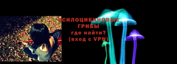 сатива Няндома