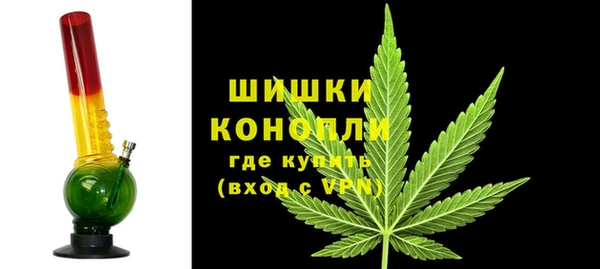сатива Няндома