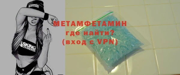 сатива Няндома