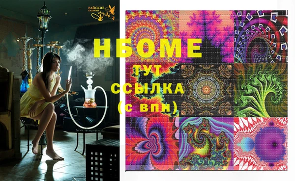 сатива Няндома